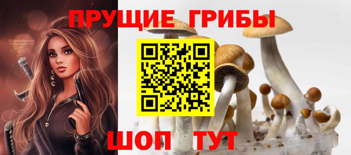 Псилоцибиновые грибы ЛСД  Вход с VPN  Орехово-Зуево 